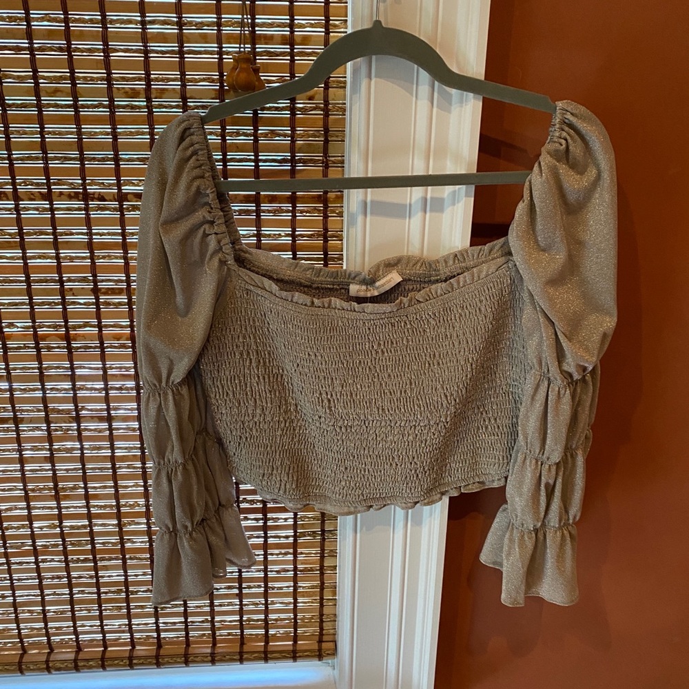 Sparkly smocked cropped top with off the shoulder sleeves.